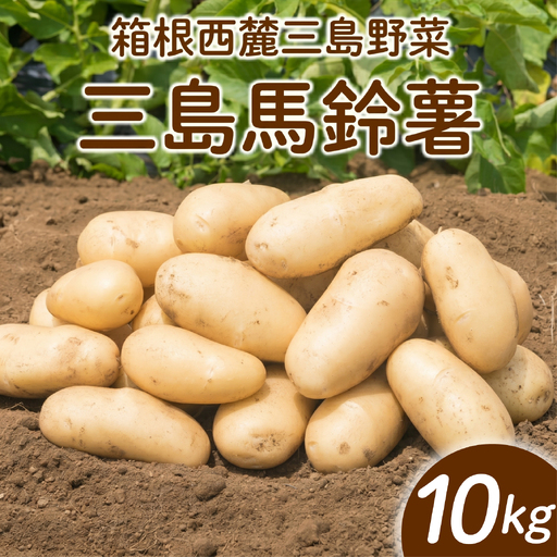 [先行予約2026年7月中旬より順次発送] じゃがいも 約10kg 三島馬鈴薯