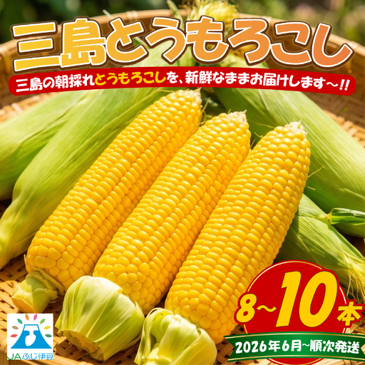 三島とうもろこし 8本〜10本 とうもろこし