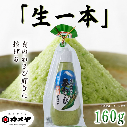 生一本おろし本わさび 160g 山葵 ワサビ