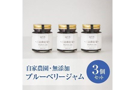 agri doブルーベリージャム3個入り 三島紫紅果(みしまぶるーべりー)