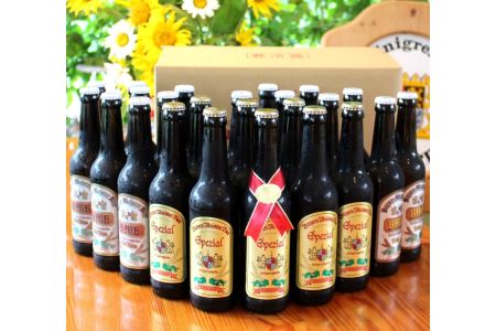 0061-35-01 富士山の水を使った地ビール バイエルンマイスタービール 24本セット