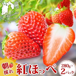 0011-106-07 富士宮市産 いちご 紅ほっぺ 280g×2P 計560g