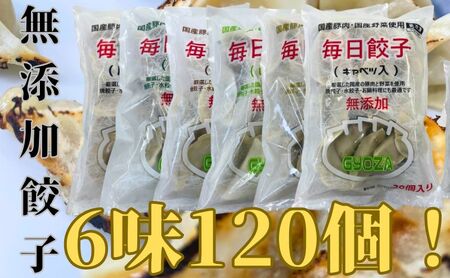 安心安全の無添加冷凍ぎょうざ!6種(キャベツ・唐辛子・ニンニク・野菜・レタス・生姜)合計120個!