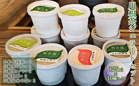 川根茶ジェラートセット10個入り(5種類×2個)