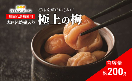 梅干し★極上の梅(志戸呂焼壺(つや有り)入り)贈り物 ギフト 人気 厳選 島田市