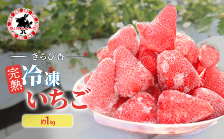  Ⓚ É 肷ӂ[ ńuҍvnⓀ 1kg  C`S ycsz