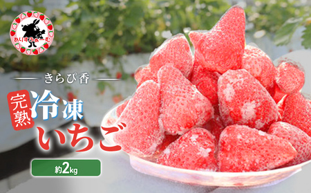  Ⓚ É 肷ӂ[ ńuҍvnⓀ 2kg  C`S ycsz