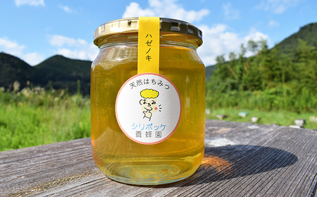 【無濾過・非加熱】静岡県産 天然はちみつ600g  ハゼノキ蜜