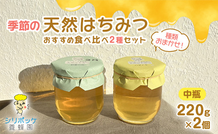 種類おまかせ!季節の天然はちみつ おすすめ食べ比べ2種セット(中瓶220g×2個)ハチミツ 蜂蜜 セット 島田市 静岡県