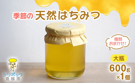 種類おまかせ!季節の天然はちみつ(大瓶600g×1個)ハチミツ 蜂蜜 島田市 静岡県