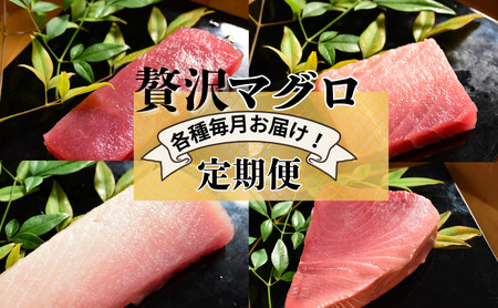 [計4回お届け]贅沢マグロ定期便[冷凍]メバチマグロ上赤身・中とろ・ビンチョウマグロ脂柵・天然ミナミマグロ上赤身脂