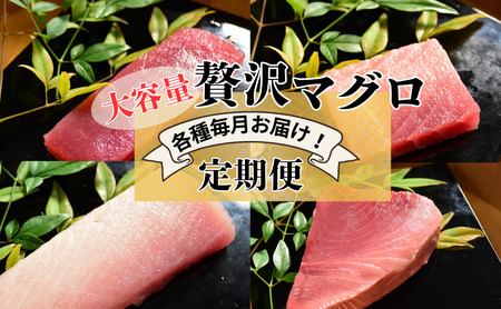[計4回お届け]贅沢マグロ定期便[冷凍]メバチマグロ上赤身6柵・中とろ4柵・ビンチョウマグロ脂柵6柵・天然ミナミマグロ上赤身脂450g×2