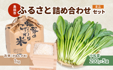 小松菜 お米(きぬむすめ) 詰め合わせ セット1 野菜 やさい こまつな 旬 国産 米 こめ コメ 産地直送 詰合せ 静岡県 島田市