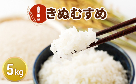 お米 5kg(きぬむすめ) 米 コメ 精米 白米 ご飯 静岡県 島田市 ※配送不可:北海道、沖縄、離島