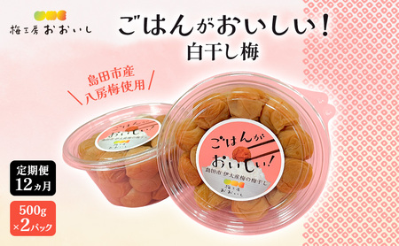 【定期便12ヶ月】八房梅使用 ごはんがおいしい！白干し梅 500g×2パック 梅干し うめぼし 白干し 塩漬け おにぎり 弁当 島田市 静岡県