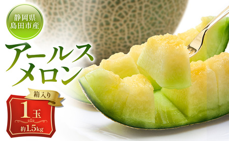 メロン 7月納品 静岡県産 アールスメロン 箱入り 1玉(約1.5kg) 果物 くだもの 果実 養液栽培 ポット 希少 甘み 島田市 静岡県