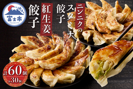 紅生姜餃子 スタミナ餃子 各30個(計60個) セット ギョーザ 創作餃子 野菜 ニンニク おかず おつまみ 食べ比べ 特製 中華 食品 冷凍発送 富士市 [sf001-222]