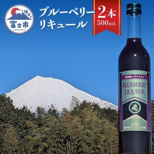 リキュール ブルーベリー酒 500mL 2本入 お酒 洋酒 果実酒 フルーティー アルコール10度 ストレート ロック 炭酸割り 常温 富士市 [sf096-004]