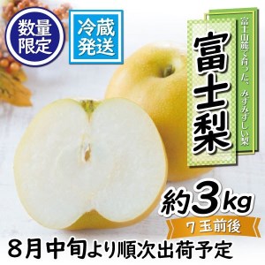 数量限定 希少 富士梨3kg フルーツ 梨 くだもの 果物 梨 フルーツ 果物 梨(a1016)