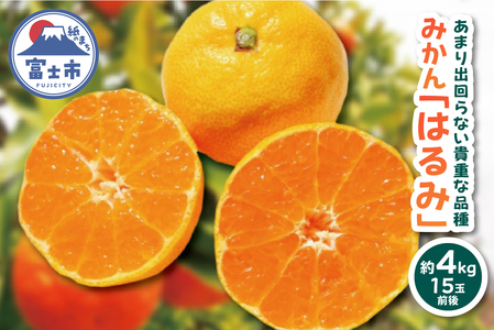 ���Ԍ��� �s���ʌ���t �݂��� �͂�� ��4kg 15�ʑO�� �M�d�i�� �v�`�v�` �e���� �嗱�ʓ� �W���[�V�[ �{ �H�ׂ₷�� �t���[�c ���k �ʕ� �퉷�z�� �É��� �x�m�s [sf001-005]