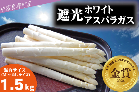 【2026年発送】【中富良野町寺坂農園】遮光ホワイトアスパラガス（1.5kg）【BF-033】
