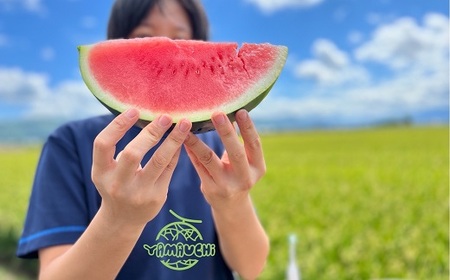 【2026年発送】種なしスイカ　1玉　（9kg～）【AW-019】