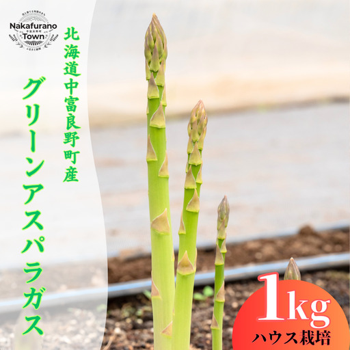 [2027年発送]ハウス栽培グリーンアスパラガス1kg[CL-001]