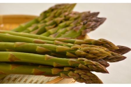 [2026年発送]グリーンアスパラ 1.2kg Mサイズ[AD-007]