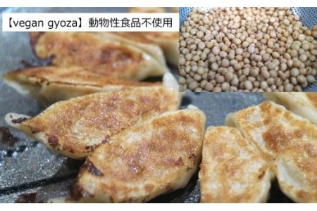 [ビーガン・完全無添加]有機小麦・大豆の冷凍餃子[AT-008]