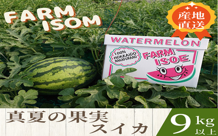 [2026年発送]真夏の果実(スイカ)[BP-001]