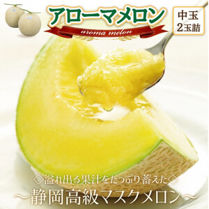 【通年出荷】アローマメロン(中玉)2玉入【静岡高級マスクメロン】_果物・フルーツ メロン  めろん_【配送不可地域：離島・北海道・沖縄県】【1447115】