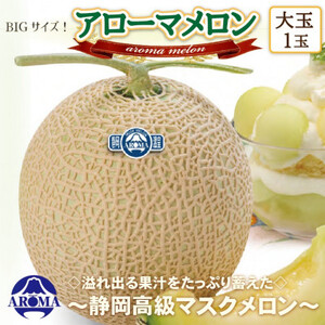 【通年出荷】アローマメロン(大玉)　1玉入【静岡高級マスクメロン】_果物・フルーツ メロン  めろん_【配送不可地域：離島・北海道・沖縄県】【1447132】