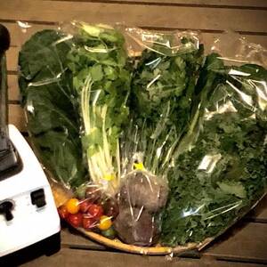 野菜ソムリエ推奨!健やかなカラダを作るスムージーにおすすめの新鮮野菜詰め合わせセット[8品目]_野菜 ミニトマト トマト 野菜 _[配送不可地域:離島]