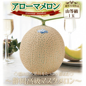 【通年出荷】アローマメロン(山等級) 1玉入【静岡高級マスクメロン】_果物・フルーツ メロン  めろん_【配送不可地域：離島・北海道・沖縄県】【1490685】