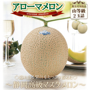 【通年出荷】アローマメロン(山等級) 2玉詰【静岡高級マスクメロン】_果物・フルーツ メロン  めろん_【配送不可地域：離島・北海道・沖縄県】【1490686】