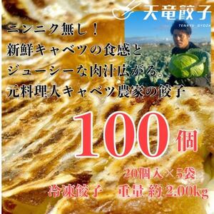 静岡発!キャベツの旨さを追及した[天竜餃子]手土産にも配りやすいパック入り/20個×5パック_餃子 冷凍 手土産_[配送不可地域:離島]