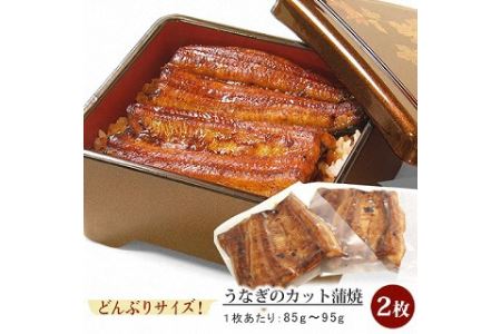 034_うなぎ蒲焼き2枚セット[2023]