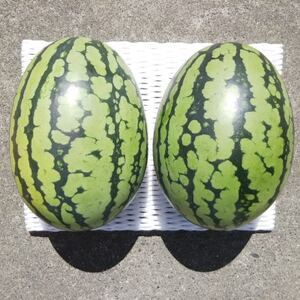 yst/2026N8{蔭z2!Ăvy!VQ!XCJyՂƁzyzsnFEkCEꌧzy1685556z