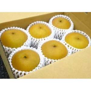 �y��s��t�z�y100������z���w�K���x(2026�N8����`���{�����\��)�y�z���s�n��F�����z�y1697182�z