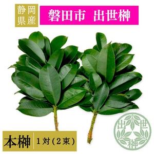 静岡県産磐田市 出世榊 本榊 純国産 さかき1対(2束)※1日交換に間に合うように配送