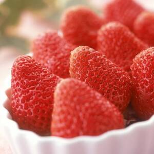 [発送月固定定期便][2月、3月発送] 静岡県磐田市の定期便全2回[配送不可地域:離島・北海道・沖縄県]