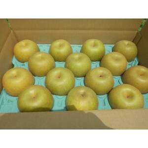 [限定30口]梨『幸水』5kg 2026年8月上旬より発送予定[配送不可地域:離島]