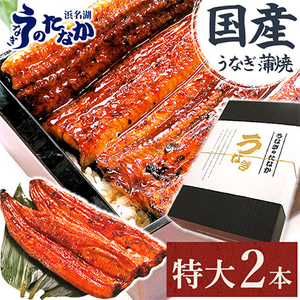 浜名湖・うなぎのたなかの長蒲2本ギフト!ふっくら柔らか♪国産うなぎ長蒲焼※合計360g程度_ウナギ 鰻 かば焼き 蒲焼き 人気 美味しい 国産 浜名湖 ウナギ オススメ 産地直送 個包装 ギフト 贈答 専門店 冷凍_[配送不可地域:離島]