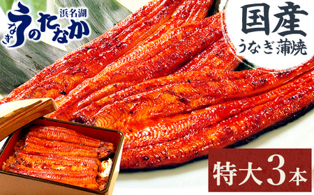 l΁EȂ̂Ȃ̒3{Zbg!ӂ_炩􍑎YȂāv540gx_V Y Mtg_yzsnFzy1417629z