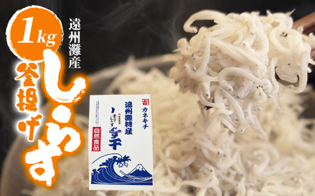 BYg炷1kg_炷 g CN gVX lC    Mtg v[g ① ͂̂Ƃ ܂_yzsnFzy1419534z