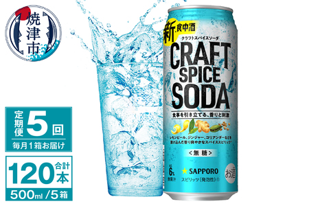 T0078-1705　【定期便5回】サッポロ クラフトスパイスソーダ 500ml×24本