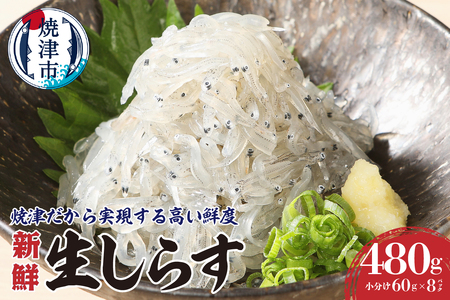 静岡県漁連 お刺身用冷凍生しらす