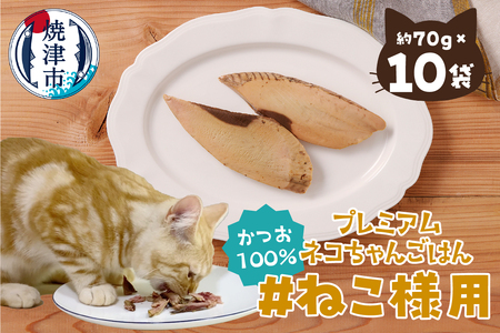 ねこ様用10点セット