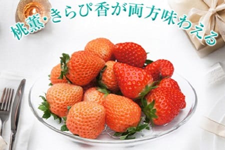 a12-038　いちご「桃薫・きらぴ香」食べ比べセット計4パック