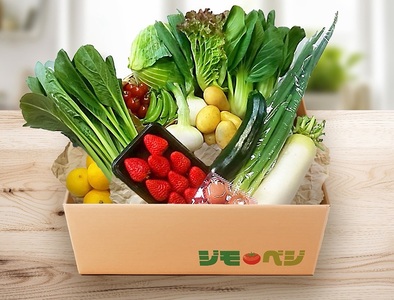 a10-1232 ジモベジ野菜セット